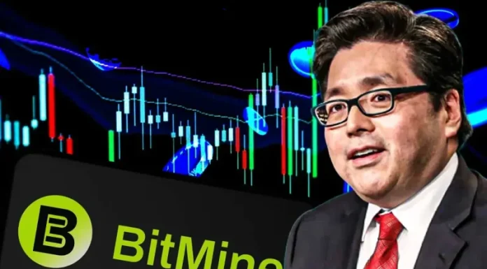 BitMine’s Tom Lee Bets on ‘March Turnaround’ to Spark Crypto Market Recovery