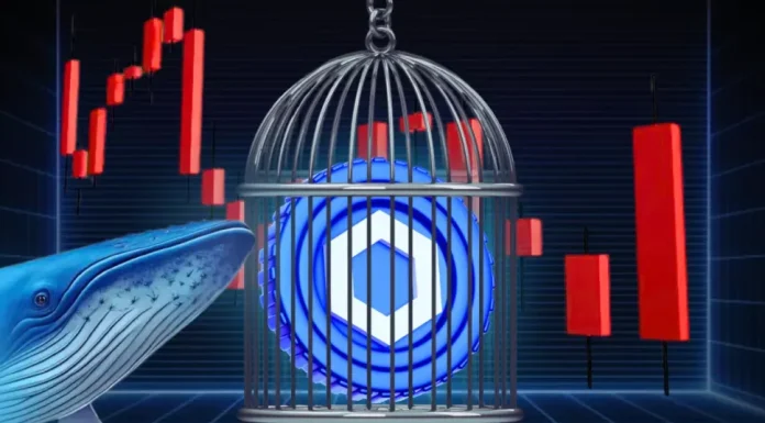 Chainlink Price Stalls as Whale Accumulation Quietly Builds Momentum