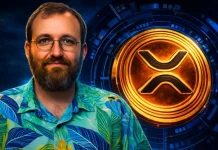 ‘XRP Has Clarity’: Brad Garlinghouse Says He Has Chosen To Ignore Hoskinson’s Stuff