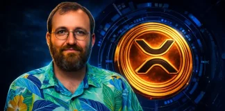 ‘XRP Has Clarity’: Brad Garlinghouse Says He Has Chosen To Ignore Hoskinson’s Stuff