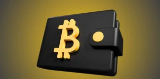 Crypto Webinars for Businesses: How Companies Are Learning to Accept Crypto Payments