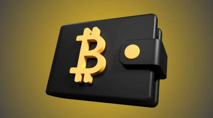 Crypto Webinars for Businesses: How Companies Are Learning to Accept Crypto Payments