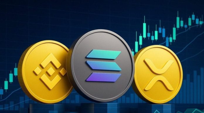 BNB Price Surge Leads Crypto Gains as Bitcoin Climbs